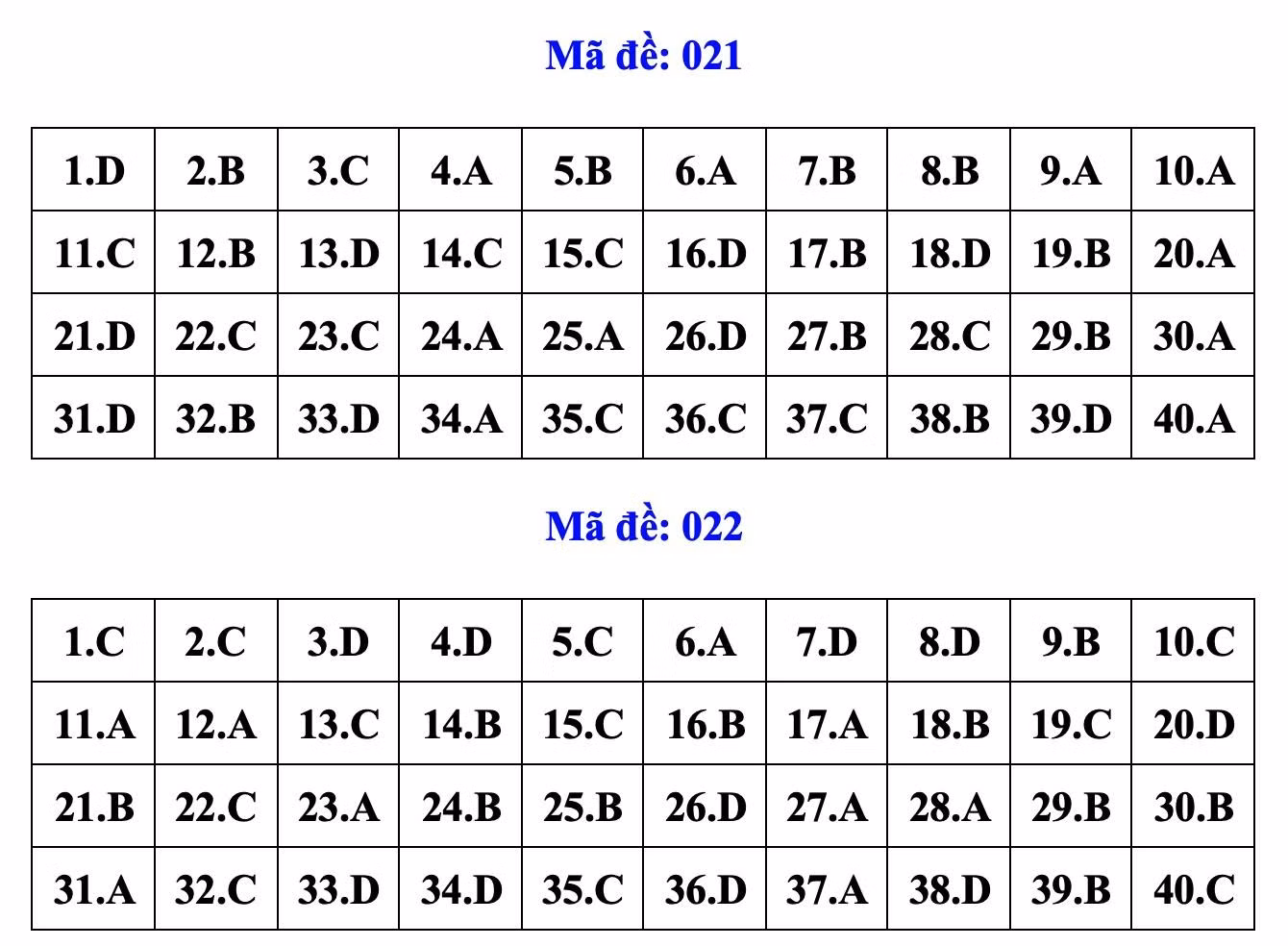 dapan11.jpg