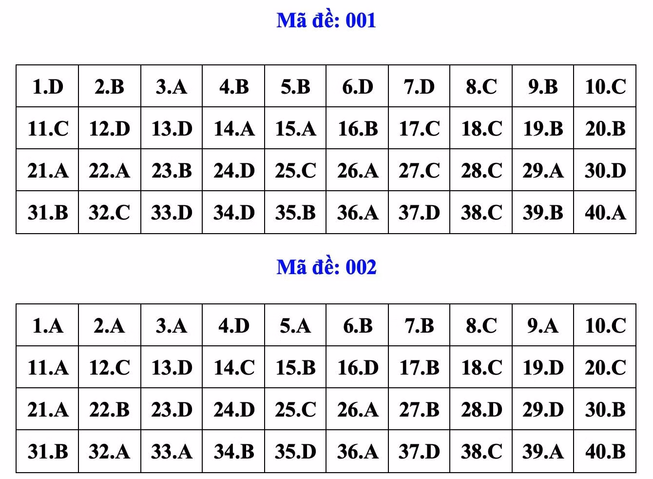 dapan1.jpg