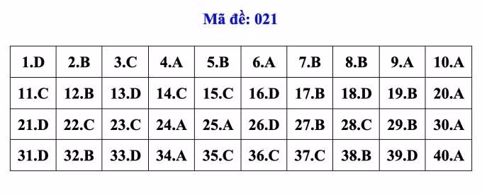 dapan021-1662.jpg