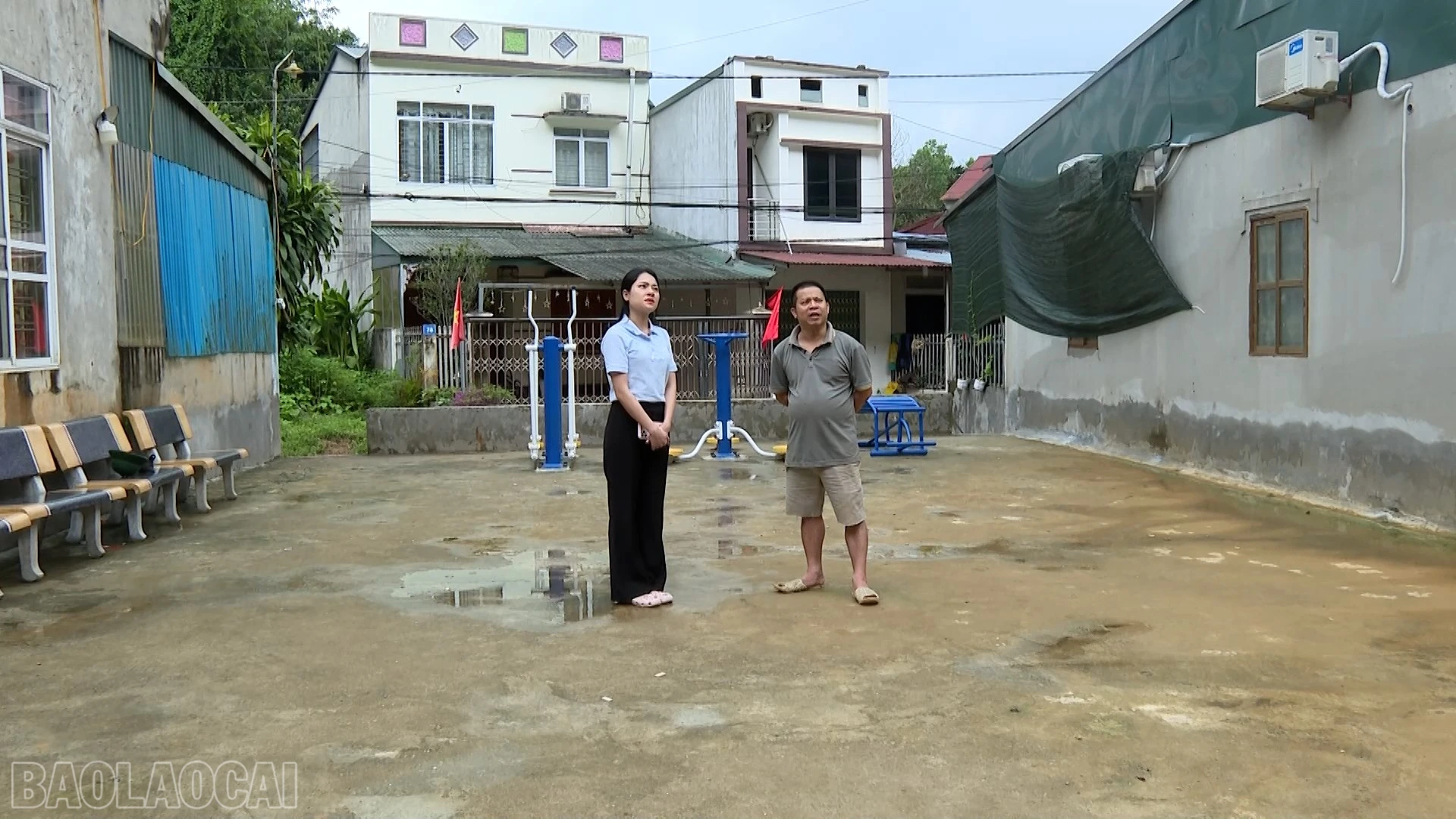 baolaocai-bl_tl-11.jpg