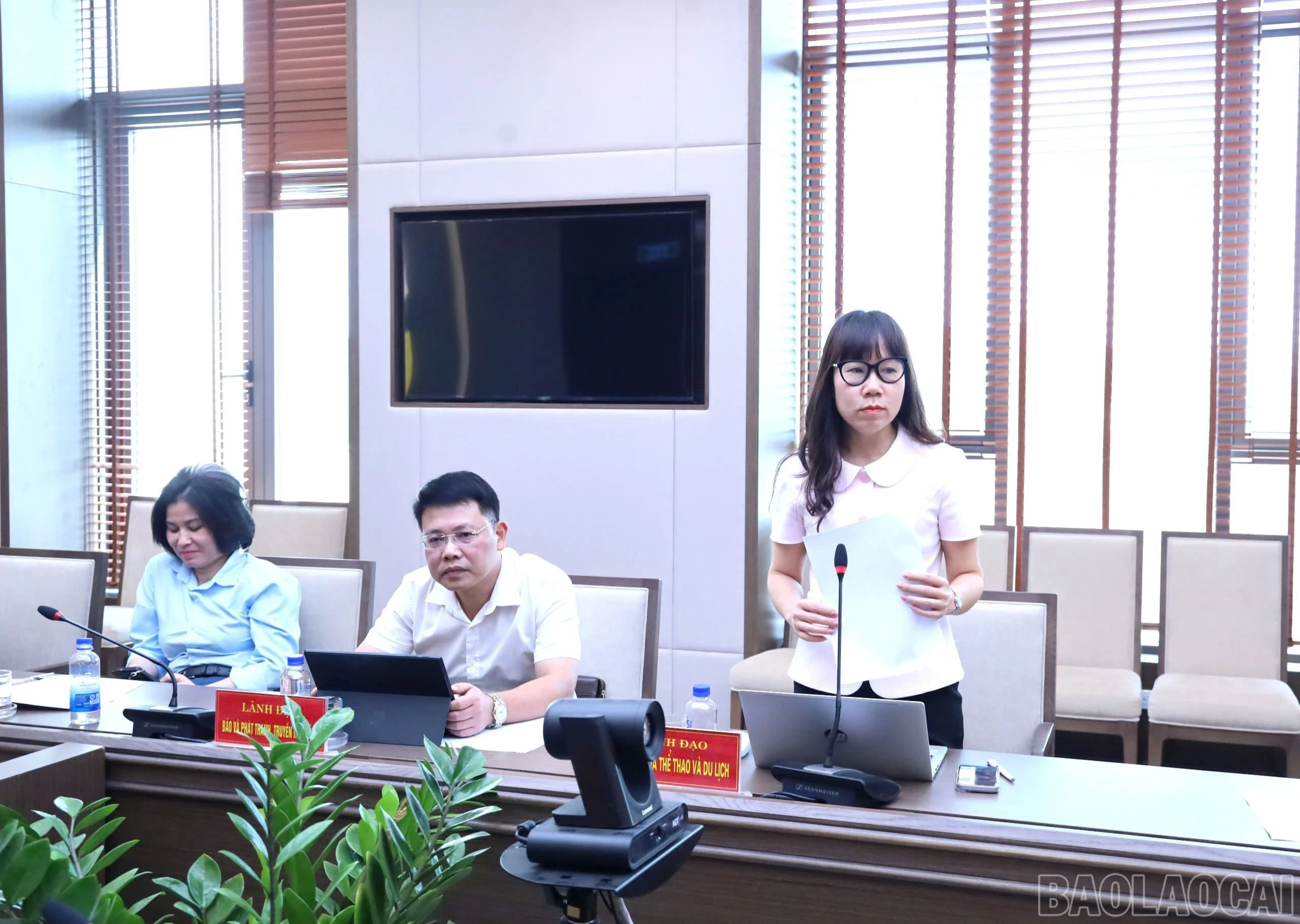 baolaocai-br_z7775099628461-f51aa7ae434443862595db8fa6b99b5e-2204.jpg