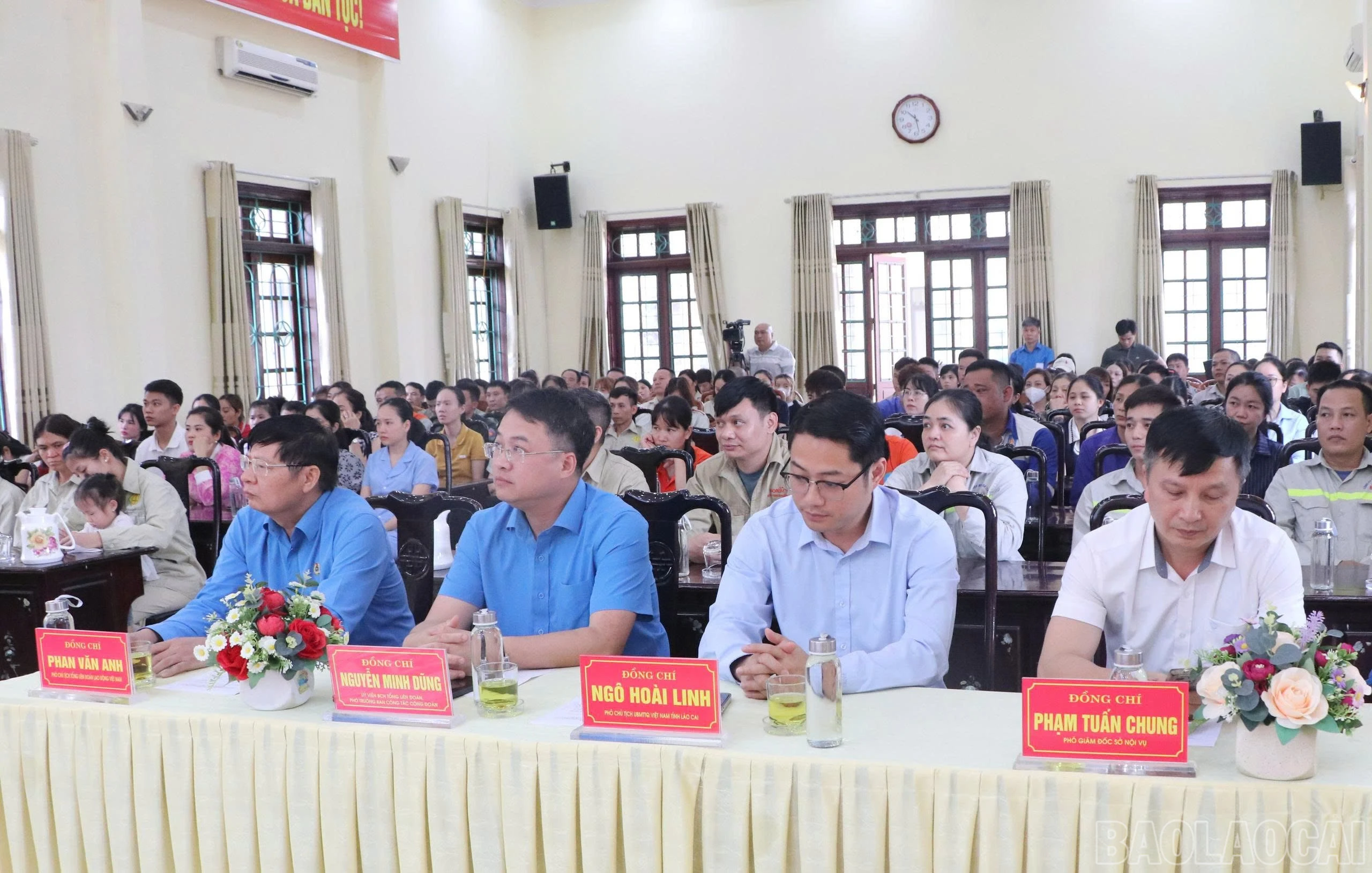 baolaocai-br_dao-bieu-b9.jpg