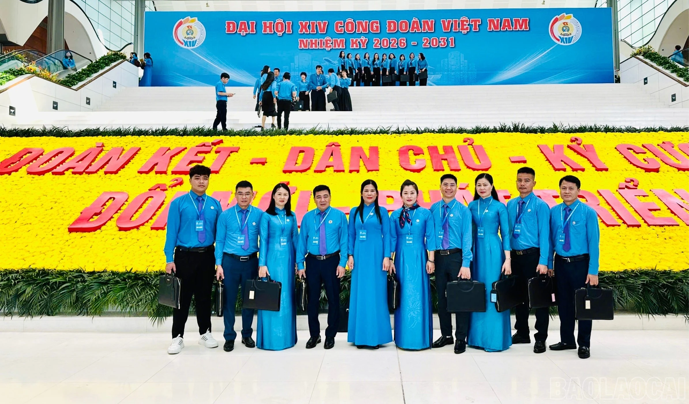 baolaocai-br_anh-dai-dien-3790.jpg