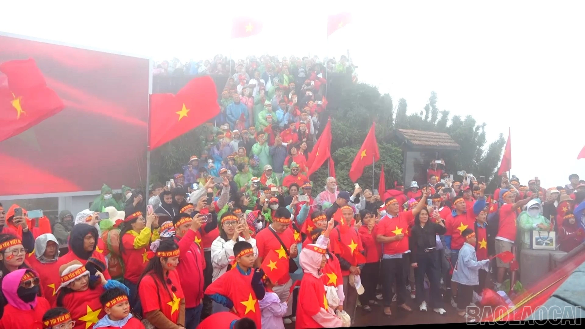 baolaocai-br_sa-pa-4239.jpg