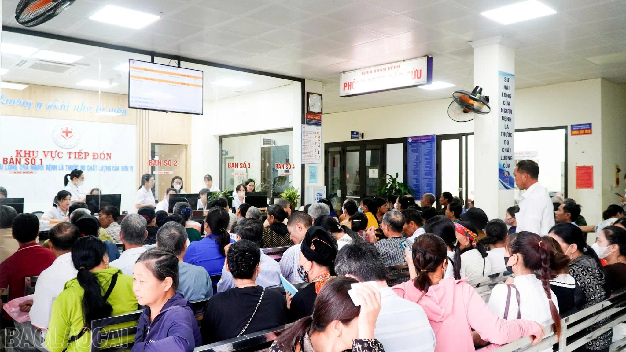 baolaocai-bl_1780626580886-9065681502042445269-9065681502042445269-8d792d46f04ad17755ab0c1e2af8fb20.jpg