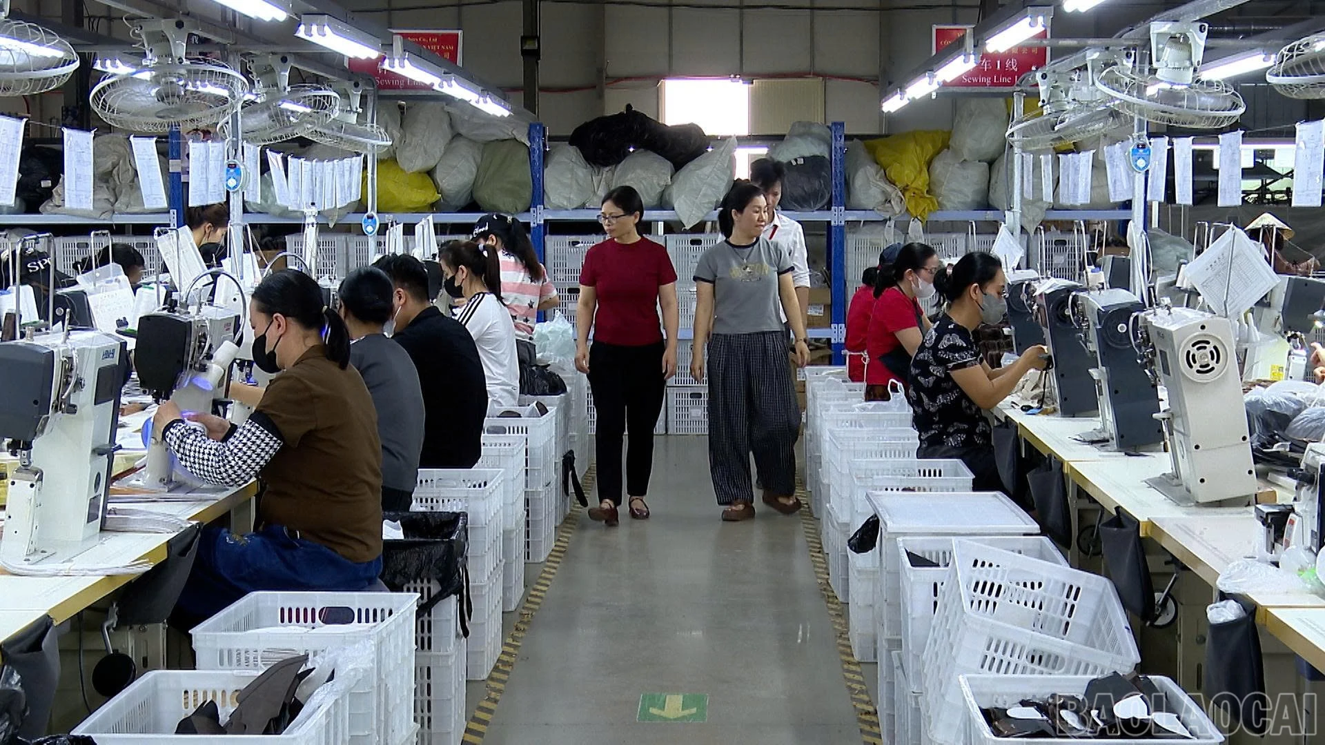 baolaocai-br_giay-kiem-tra-giam-sat.jpg