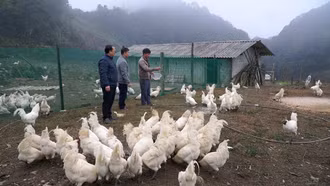 Viết tiếp ước mơ