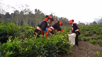 Khi phụ nữ phát huy vai trò làm chủ