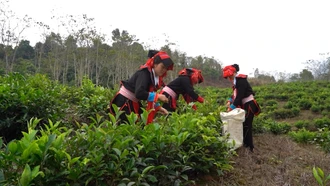 Khi phụ nữ phát huy vai trò làm chủ