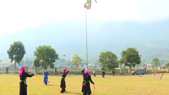 Khát vọng bay giữa trời xuân