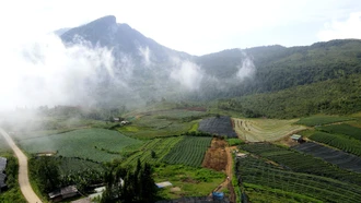 Khát vọng ở vùng đất mù sương