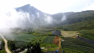 Khát vọng ở vùng đất mù sương