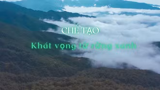 Chế Tạo: Khát vọng giữa rừng xanh