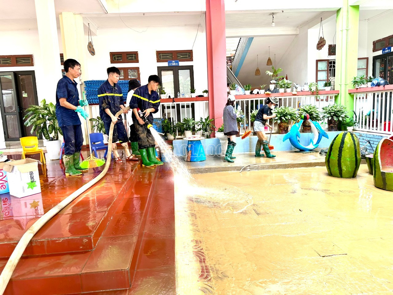baolaocai-c_z7069412595232-e19da1fbdc31d9a932246a61adcf6100.jpg