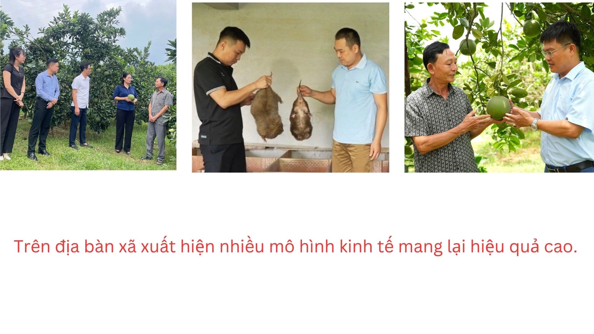 nen-do-bong-cau-noi-hay-ve-ky-niem-anh-ghep-nghe-thuat-1920-x-1080-px.jpg
