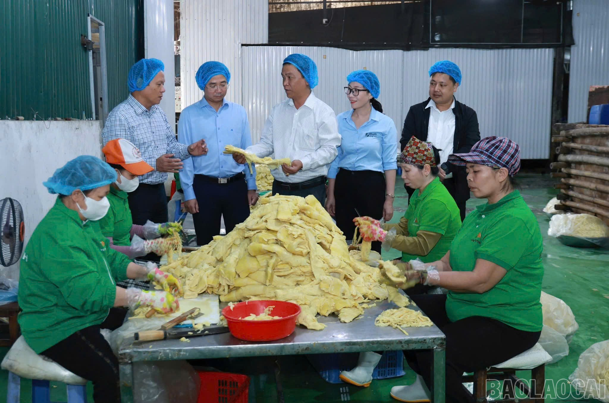 Ledere i landbrukssektoren inspiserer produksjonen hos Yen Thanh Joint Stock Company. baolaocai-br_z7195419311930-dafbbb5c7bb61a73e17e83cc03c1645b.jpg