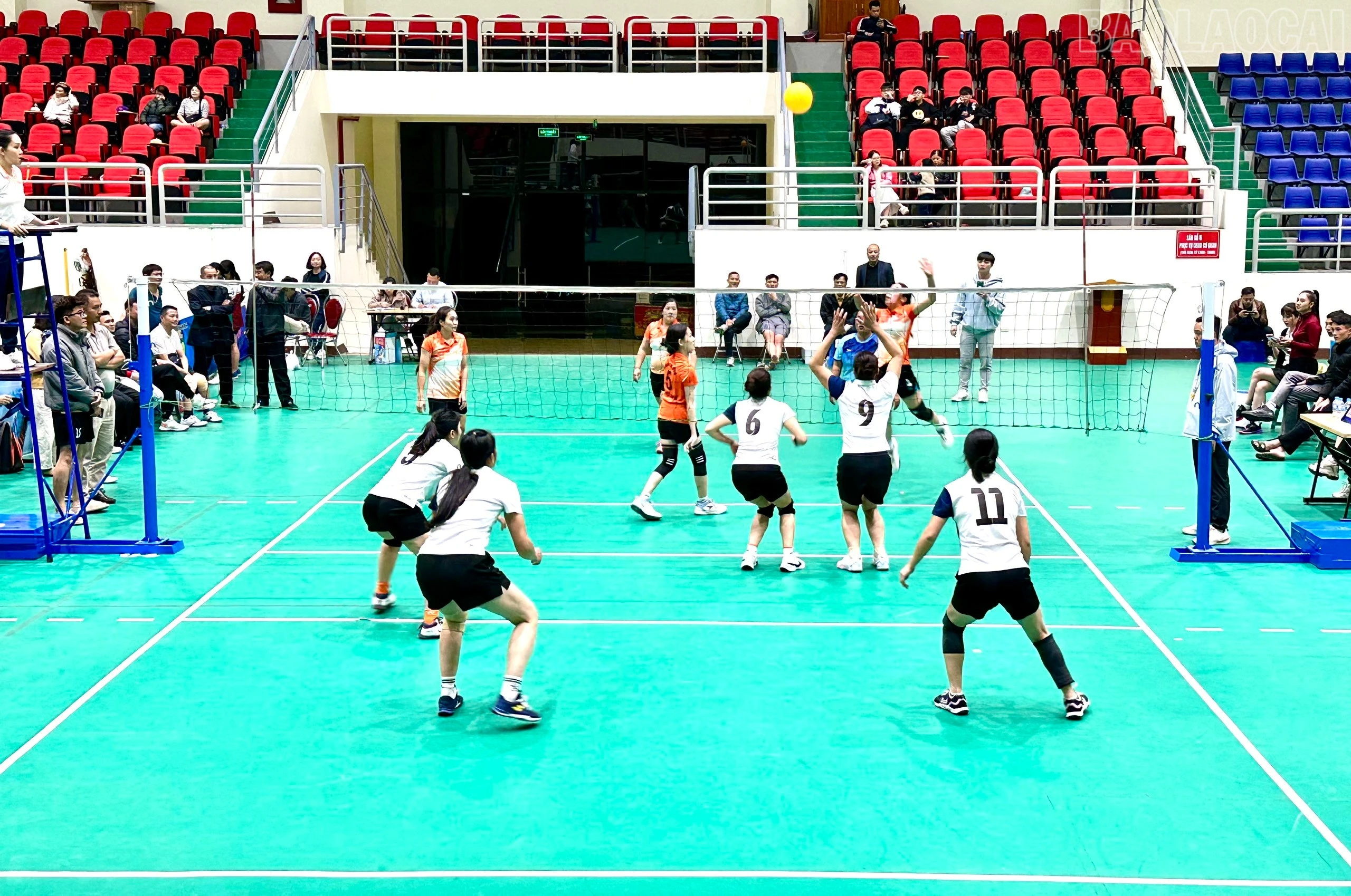 baolaocai-tr_z7323813069874-8b2fbc290dd586aa2f448e777e2c507f.jpg