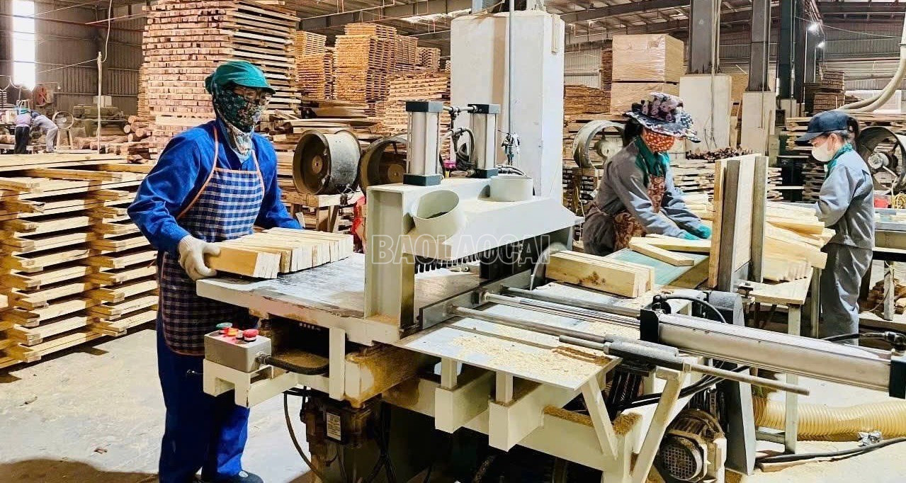 Sản xuất công nghiệp trên địa bàn tỉnh duy trì ổn định và có chuyển biến tích cực. baolaocai-c_z6876169735485-e8c662033e41970c72c84b4c8a1da3f5.jpg