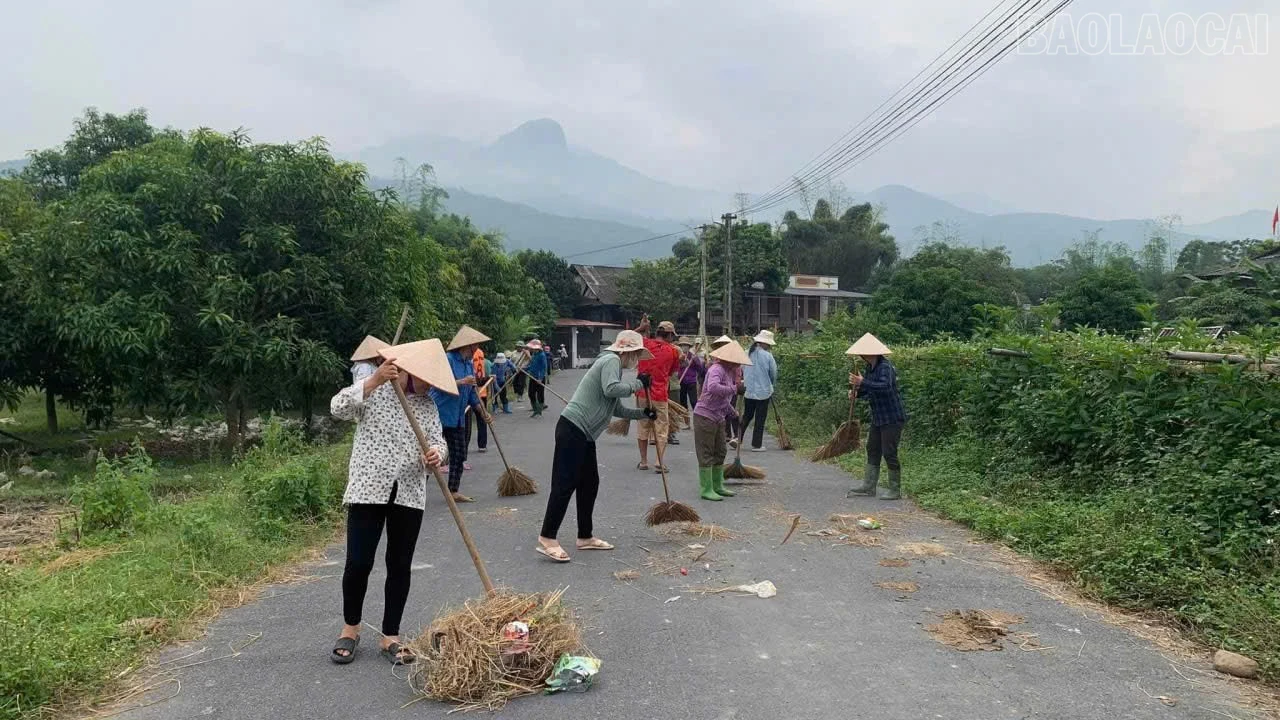 baolaocai-tr_z7335356197433-2102f7328b4a1c6a0cc4a0e5eb234d8d.jpg