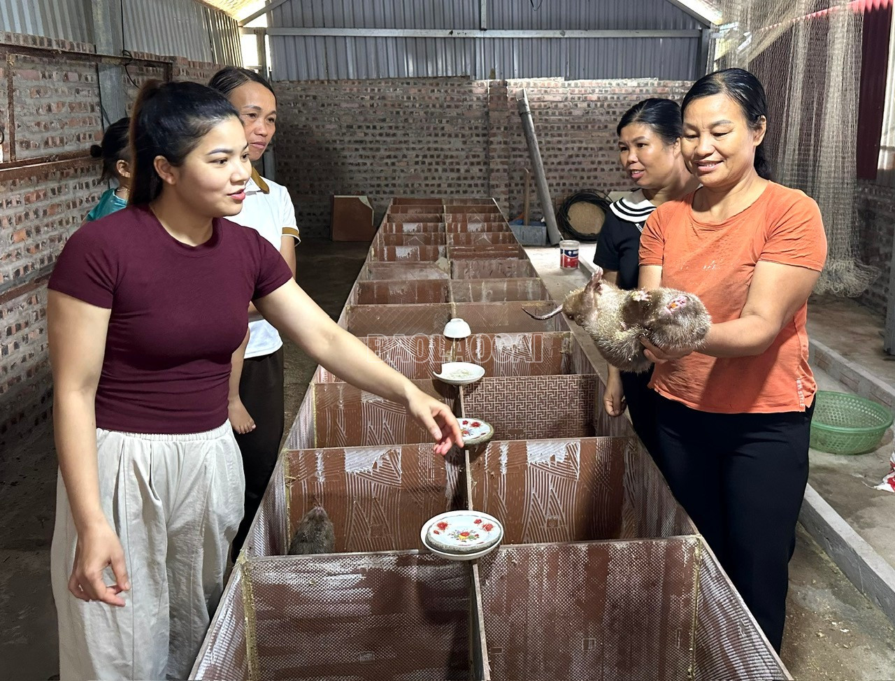 Các hội viên phụ nữ tham gia học hỏi kinh nghiệm phát triển kinh tế. baolaocai-c_z7048968861823-eb55c7e6de3e0762401b8afa56d9aaa4.jpg