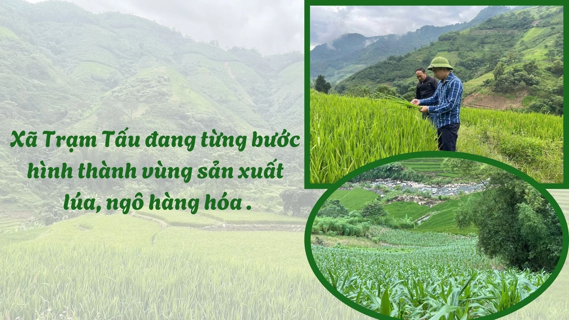 white-green-modern-agricultural-land-management-facebook-post-1920-x-1080-px.jpg