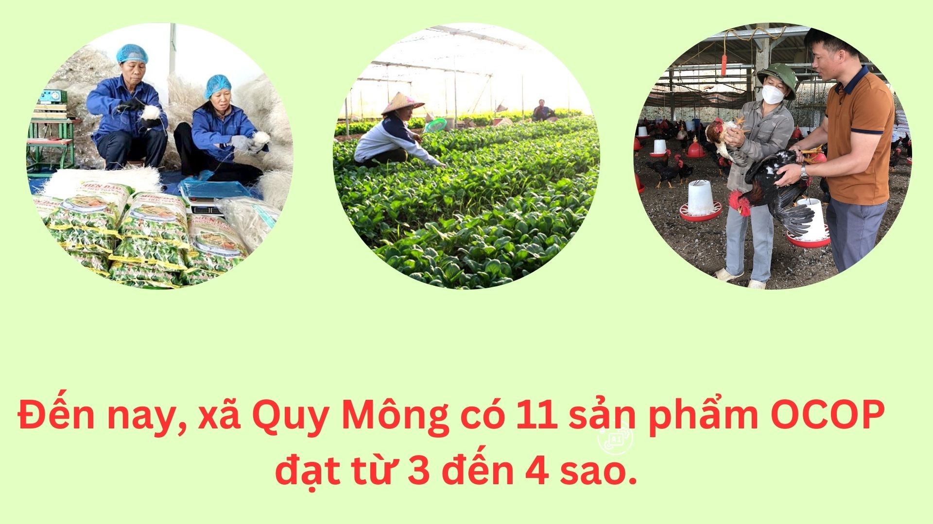 green-and-white-modern-agriculture-presentation-1920-x-1080-px.jpg