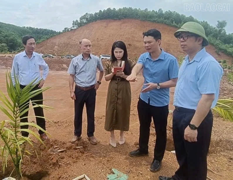 baolaocai-tr_z7342152314851-f832ffac45cc8af5e85179bc6222d0ad.jpg