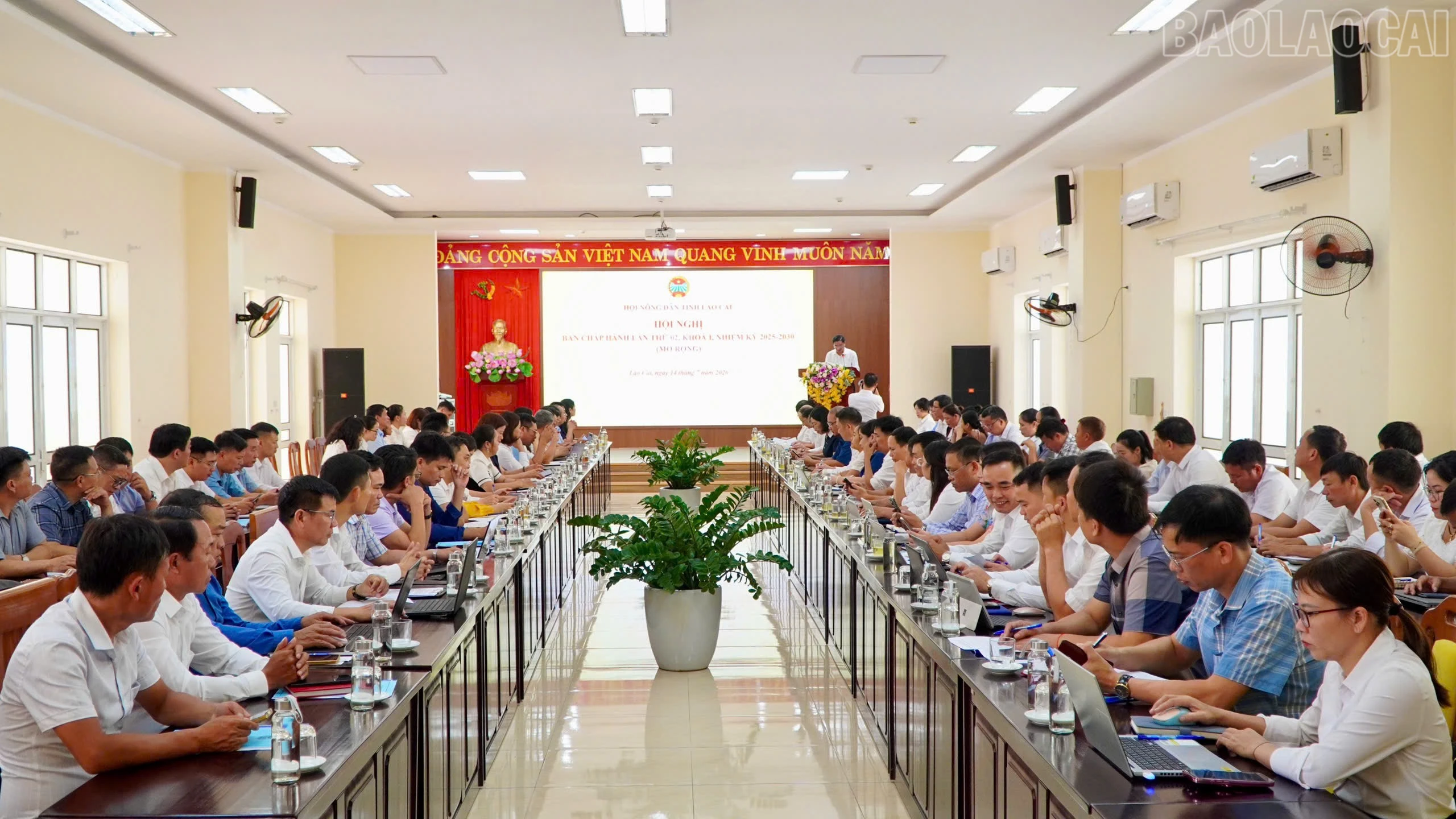 baolaocai-tr_1784024793666-202264549860559624-202264549860559624-14be9604d8a91225591f657958234c8d.jpg