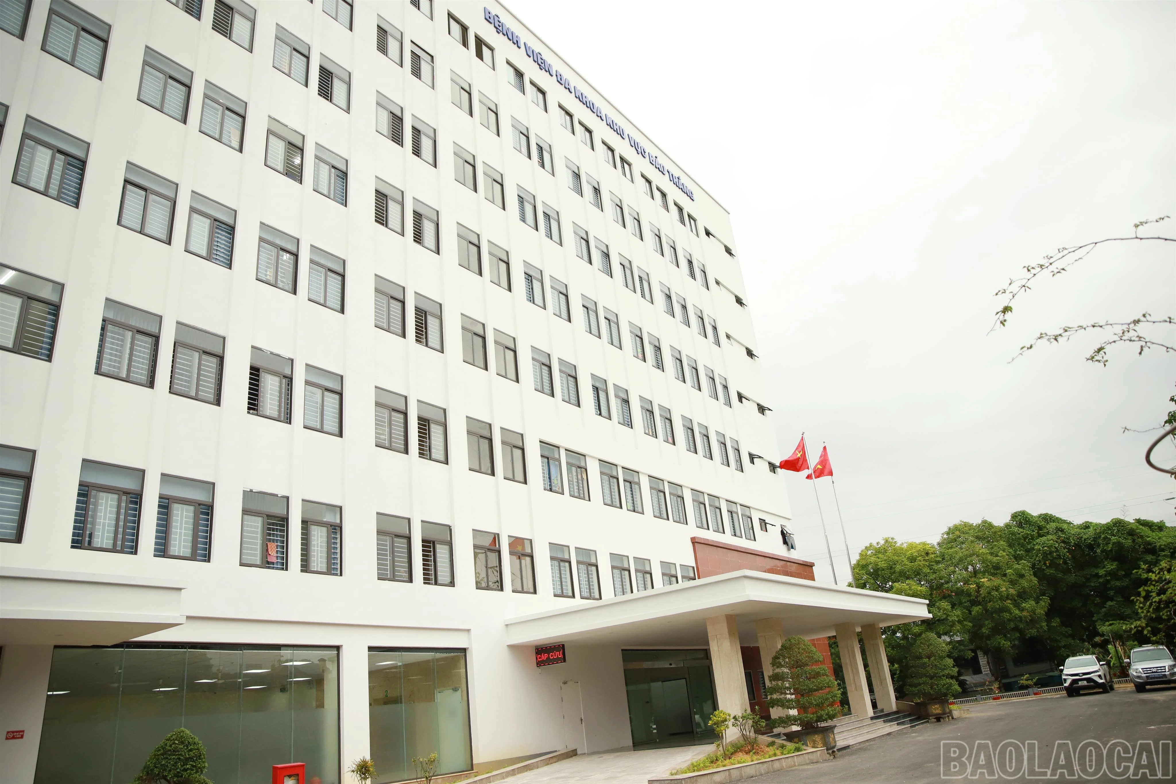 baolaocai-br_h-462899.jpg