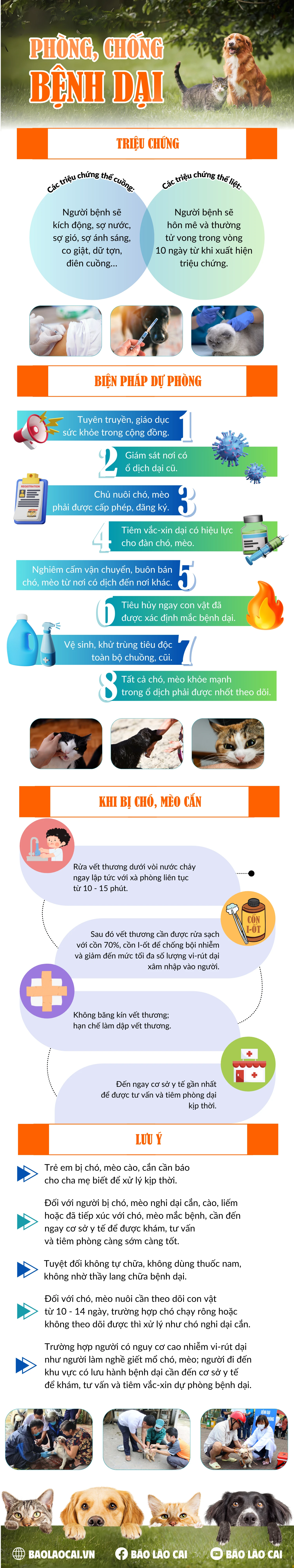 Phòng, chống bệnh dại (1500 x 8000 px).png