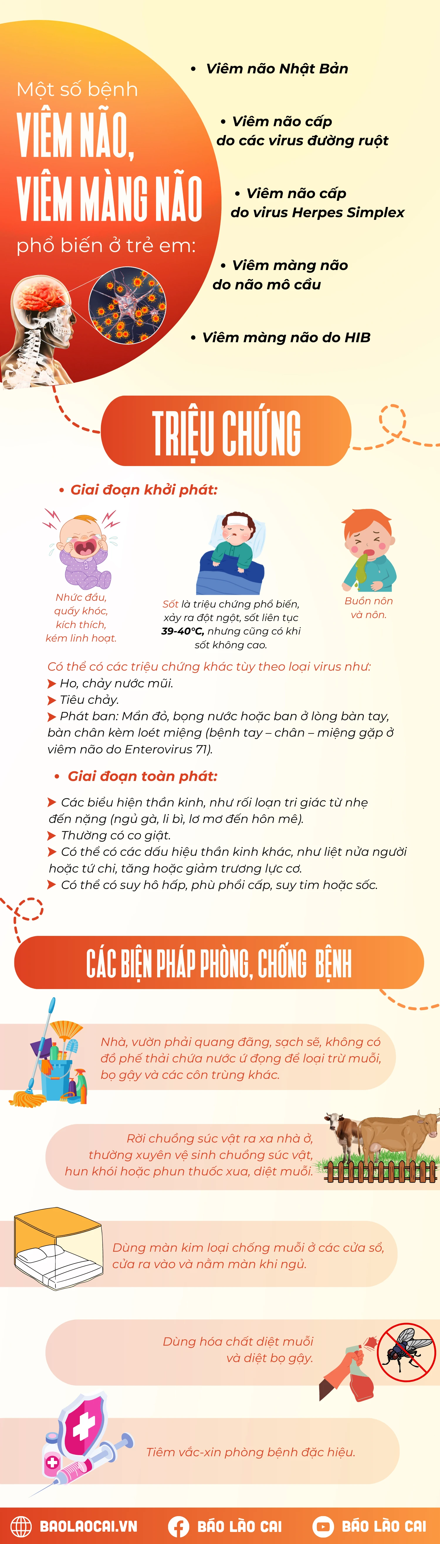 inforgraphic viêm màng não.png