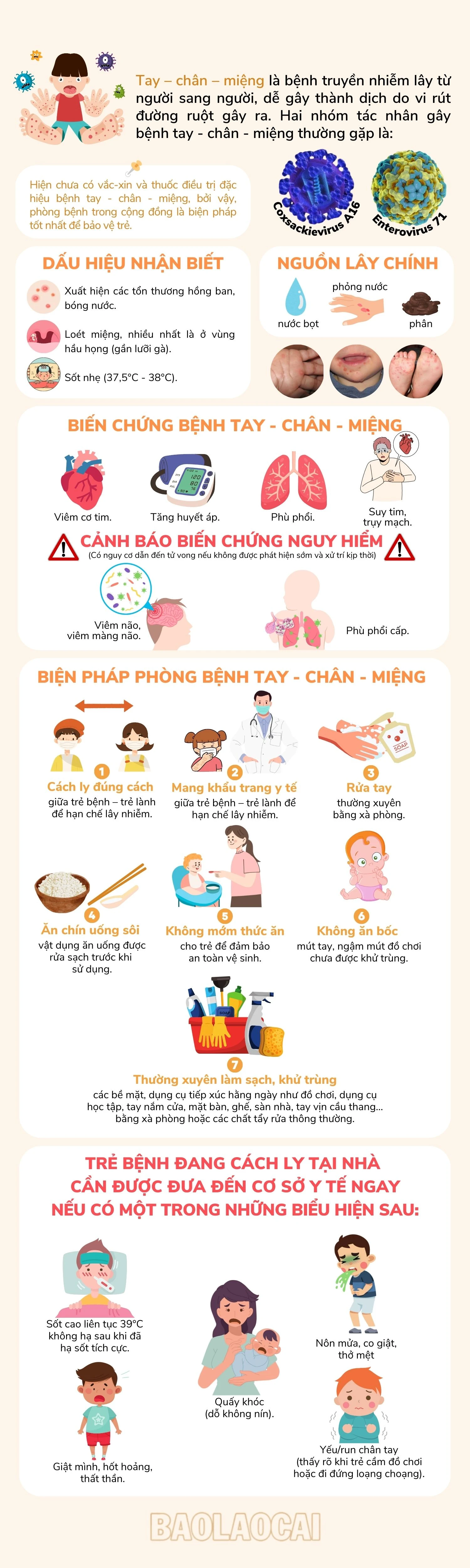 inforgraphic tay chân miệng neww.jpg