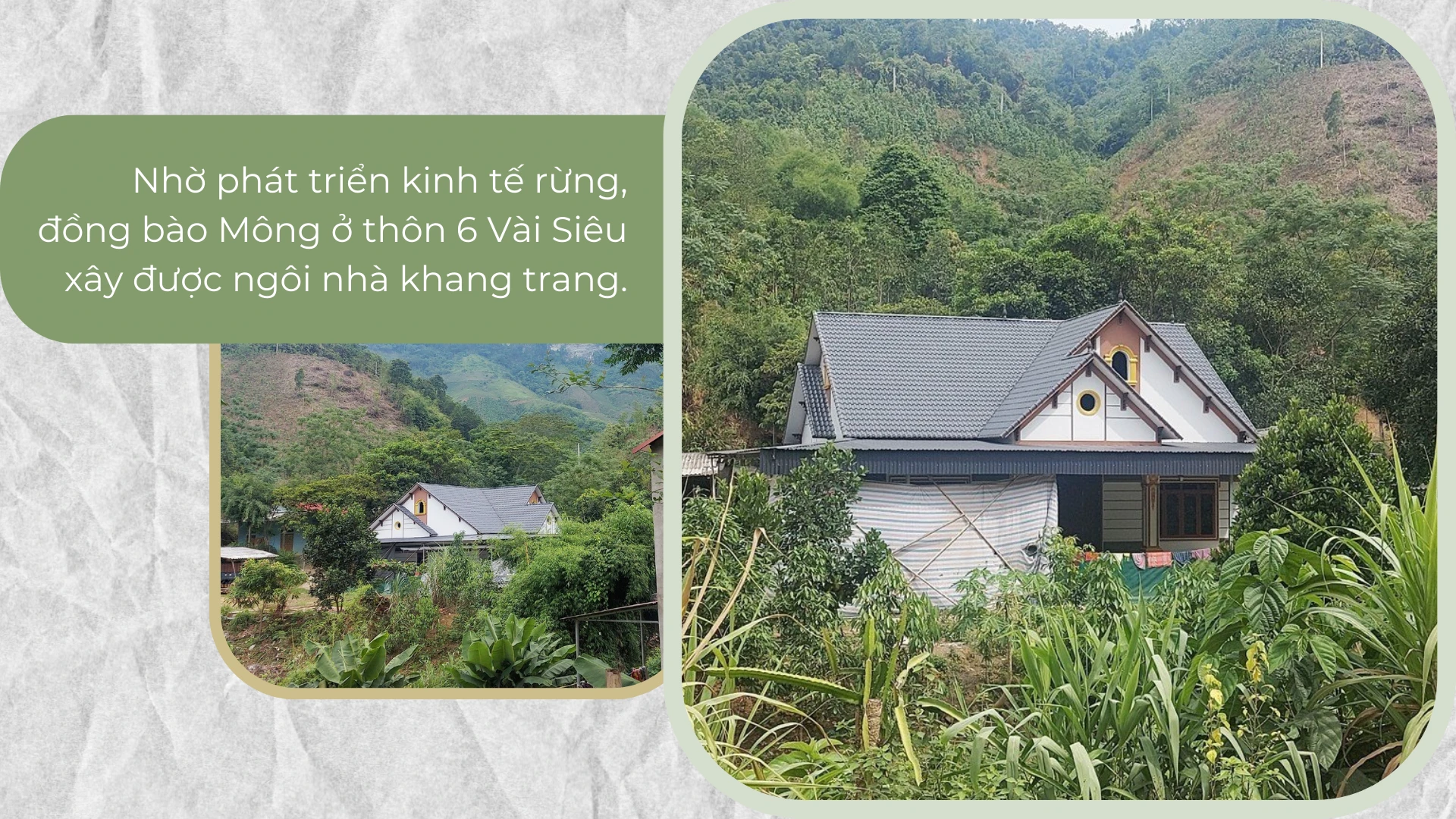 Vài Siêu những chuyện vui buồn.png