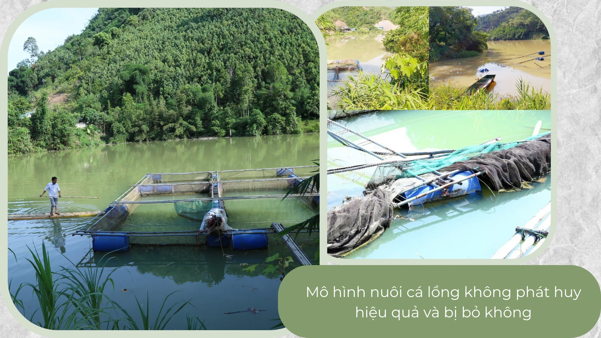 Vài Siêu những chuyện vui buồn - 7.png