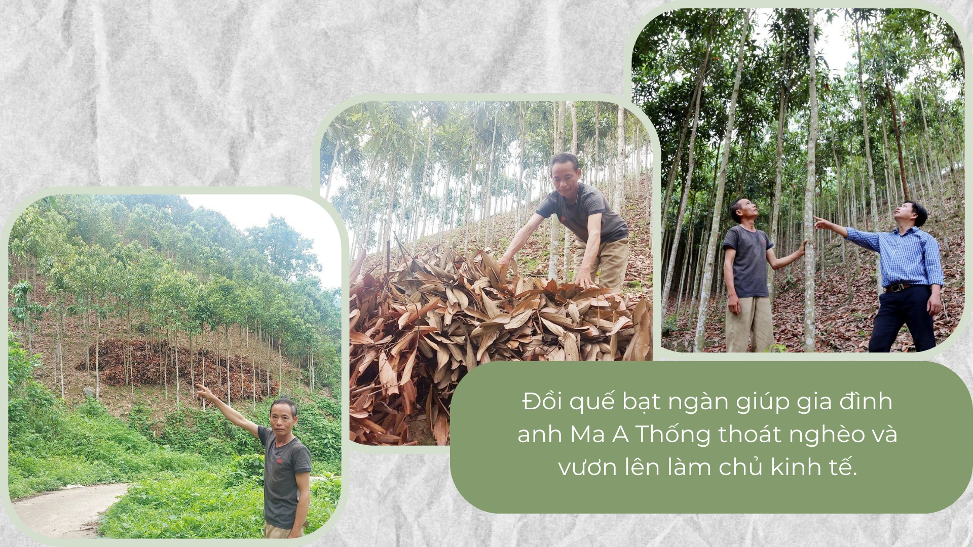 Vài Siêu những chuyện vui buồn - 4.png