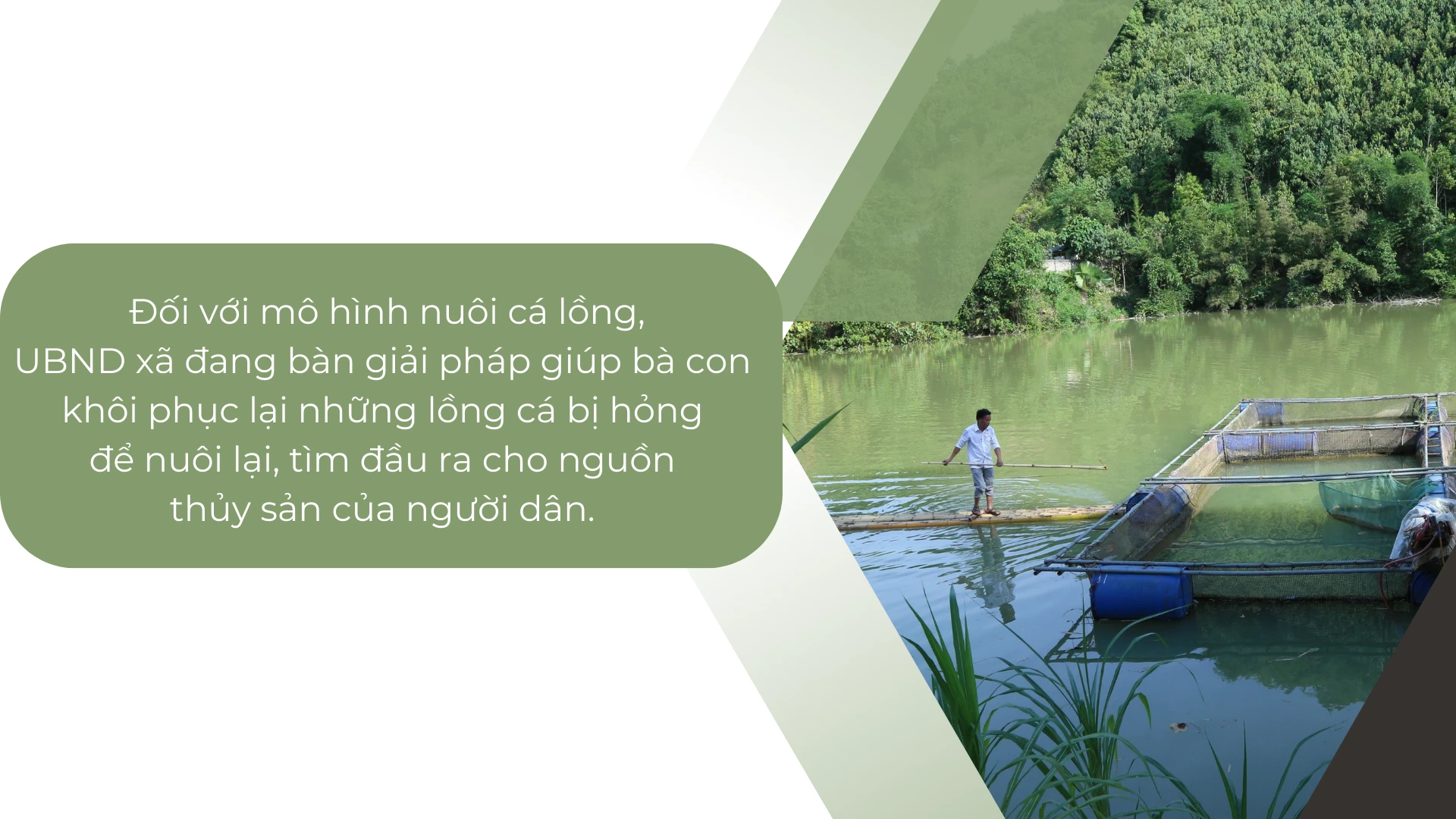 Vài Siêu những chuyện vui buồn - 9.png