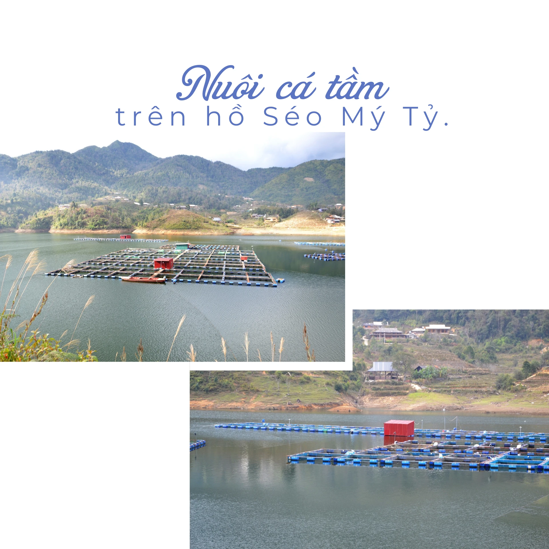  Tiếng đồng bào Giáy - 3.png