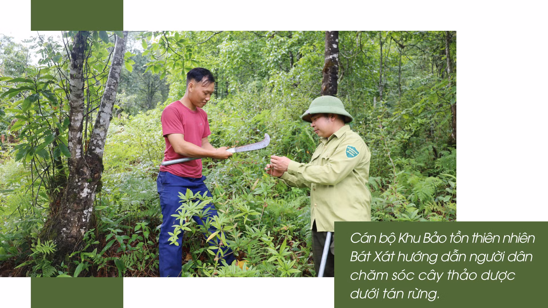 Chuyện giữ rừng ở vùng cao Bát Xát.png