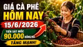 Giá cà phê hôm nay 15/6: Tiếp tục tăng trong ngày đầu tuần?