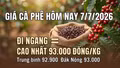 Giá cà phê hôm nay 7/7 giữ ổn định quanh vùng 93.000 đồng/kg