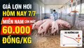 Giá lợn hơi hôm nay 7/7: Thị trường tiếp tục đi ngang