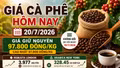 Giá cà phê hôm nay 20/7: Robusta và Arabica chưa biến động