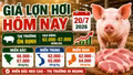 Giá lợn hơi hôm nay 20/7: Thị trường ba miền tiếp tục đi ngang