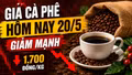 Giá cà phê hôm nay 20/5: Arabica và Robusta tiếp tục đỏ sàn
