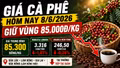 Giá cà phê hôm nay 8/6: Tây Nguyên neo thấp quanh 85.000 đồng/kg