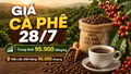 Giá cà phê hôm nay 28/7 neo ở mức 95.900 đồng/kg