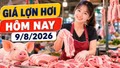 Giá lợn hơi hôm nay 9/8/2026 giảm tiếp, mức 62.000 đồng/kg biến mất