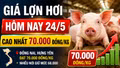 Giá lợn hơi hôm nay 24/5: Đồng Nai, Hưng Yên lên đỉnh 70.000 đồng/kg