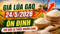Giá lúa gạo hôm nay 24/5: Gạo toàn cầu tăng nóng vì nguy cơ thâm hụt
