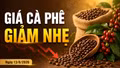 Giá cà phê hôm nay 13/8 giảm 500 đồng/kg, Robusta tiếp tục đi xuống